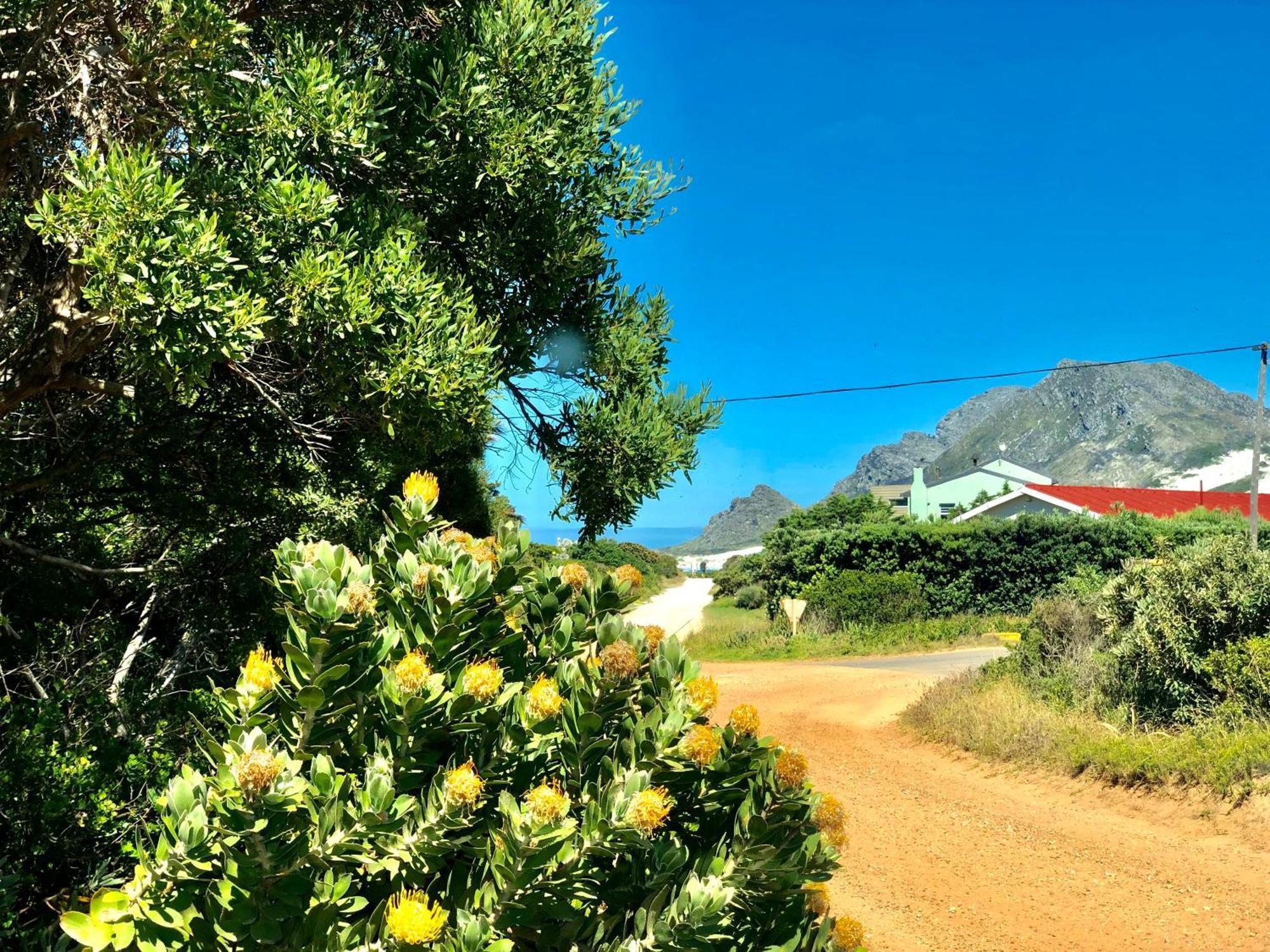 #Silversands Coastal Retreat In Betty'S Bay Villa Exterior foto